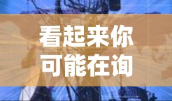 看起来你可能在询问有关X代理工具的信息，但没有提供足够的上下文。为了更好地帮助你，请提供以下详细信息