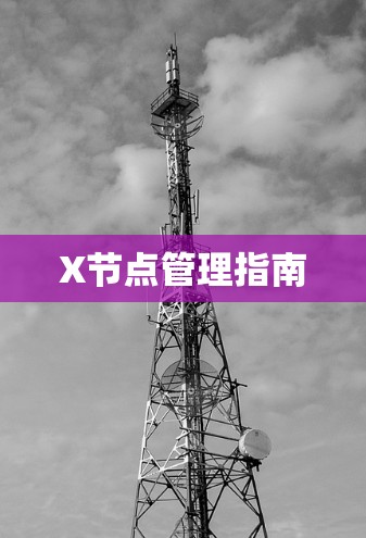 X节点管理指南