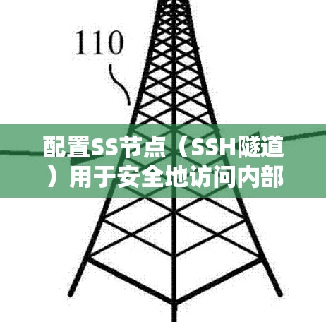 配置SS节点（SSH隧道）用于安全地访问内部网络资源，以下是详细的步骤指南