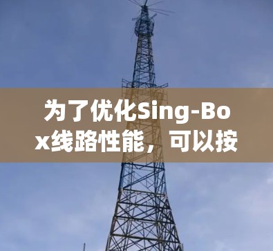 为了优化Sing-Box线路性能，可以按照以下步骤进行
