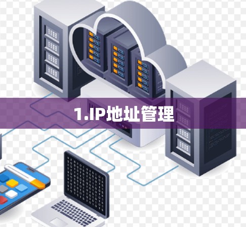 1.IP地址管理