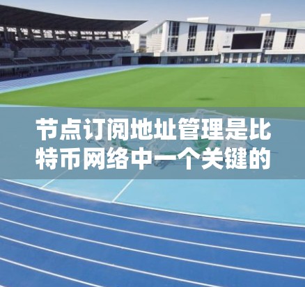 节点订阅地址管理是比特币网络中一个关键的功能，用于维护和管理节点之间的连接信息。以下是关于节点订阅地址管理的详细步骤和建议