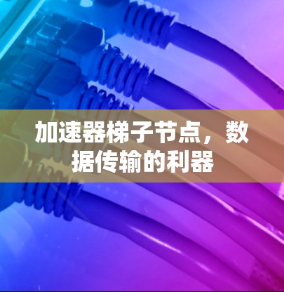 加速器梯子节点，数据传输的利器