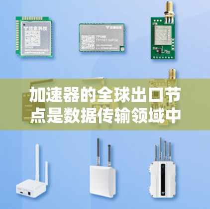 加速器的全球出口节点是数据传输领域中的关键技术，旨在通过优化数据传输路径和加速数据处理，使数据能够在全球范围内高效、快速地传输和处理。以下是对这一技术的详细分析和总结