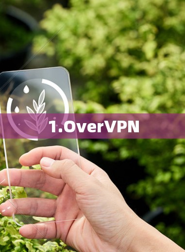 1.OverVPN 1.OverVPN