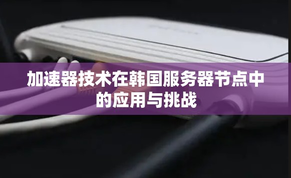 加速器技术在韩国服务器节点中的应用与挑战 加速器技术在韩国服务器节点中的应用与挑战