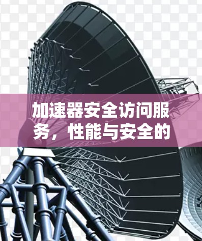 加速器安全访问服务,性能与安全的完美结合 加速器安全访问服务,性能与安全的完美结合