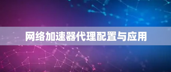 网络加速器代理配置与应用