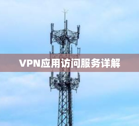 VPN应用访问服务详解 VPN应用访问服务详解