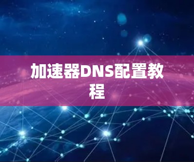 加速器DNS配置教程 加速器DNS配置教程