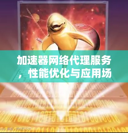 加速器网络代理服务,性能优化与应用场景分析 加速器网络代理服务,性能优化与应用场景分析