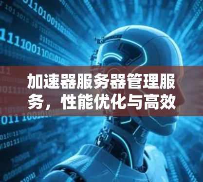 加速器服务器管理服务,性能优化与高效运维 加速器服务器管理服务,性能优化与高效运维