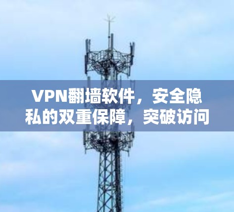 VPN翻墙软件，安全隐私的双重保障，突破访问限制
