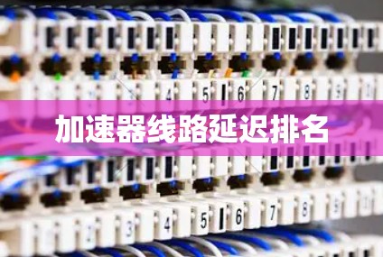 加速器线路延迟排名