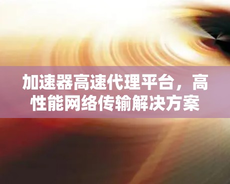 加速器高速代理平台，高性能网络传输解决方案