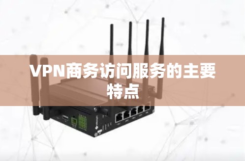 VPN商务访问服务的主要特点