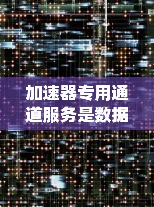 加速器专用通道服务是数据中心内部高效传输的关键组件，通过优化加速器与其他系统的通信，显著提升性能。以下是对这一服务的详细总结