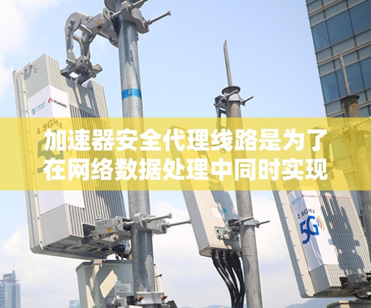 加速器安全代理线路是为了在网络数据处理中同时实现高效率和安全性而设计的关键组件。以下是对这一概念的详细分析和总结