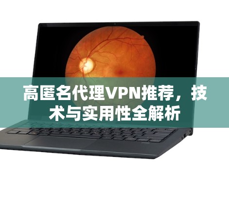 高匿名代理VPN推荐,技术与实用性全解析 高匿名代理VPN推荐,技术与实用性全解析