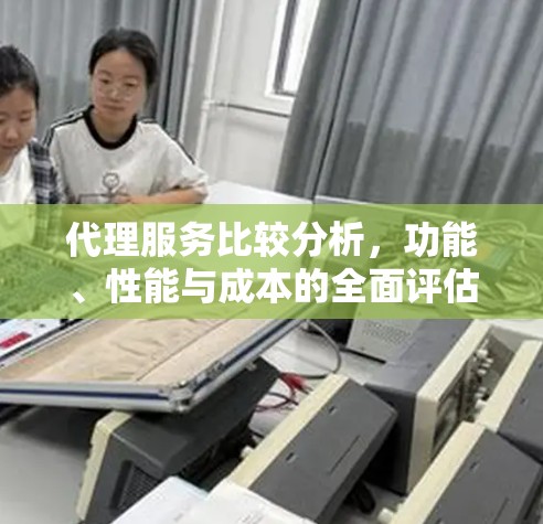 代理服务比较分析，功能、性能与成本的全面评估