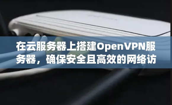 在云服务器上搭建OpenVPN服务器,确保安全且高效的网络访问。以下是详细的步骤指南 在云服务器上搭建OpenVPN服务器,确保安全且高效的网络访问。以下是详细的步骤指南