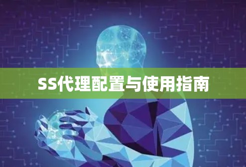 SS代理配置与使用指南 SS代理配置与使用指南