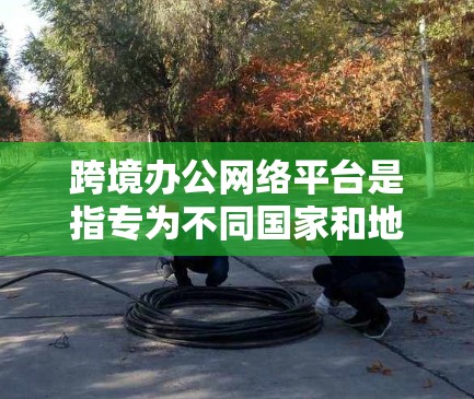 跨境办公网络平台是指专为不同国家和地区的用户提供协同办公解决方案的网络平台。这些平台结合了多种技术和功能，旨在支持跨国企业和团队的高效协作，确保数据安全和合规性。以下是对跨境办公网络平台的详细分析